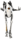 P-body.png